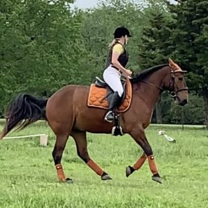 A rider wearing a helmet and vest is riding a brown horse with matching orange saddle pad and leg wraps on a grassy field, with trees in the background.