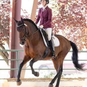 A rider in a maroon jacket and helmet is riding a brown horse mid-canter inside an indoor arena, with sunlight streaming through and red leaves visible in the background.