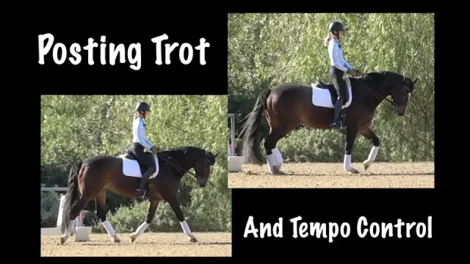 Two photos show a person riding a dark brown horse in an outdoor arena, demonstrating posting and how to regulate tempo at the trot. The rider wears a helmet and equestrian attire. Text reads Posting Trot And Tempo Control.