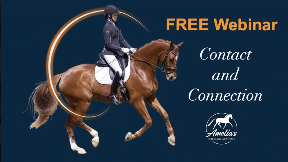 A rider in equestrian attire is riding a brown horse. Text reads “Free Webinar,” “Contact and Connection,” and “Amelia’s Dressage Academy” with a white horse logo on a dark blue background, highlighting the importance of rider-horse connection.