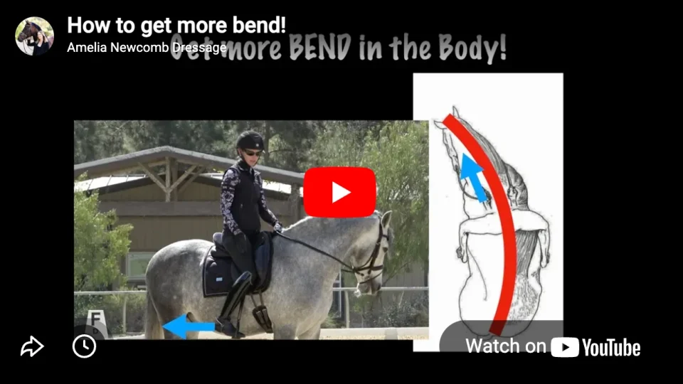 A rider on a gray horse demonstrates how to get more bend, with blue arrows showing motion. Beside them, a diagram of a horse’s curved body has red and blue arrows indicating the direction of the bend.