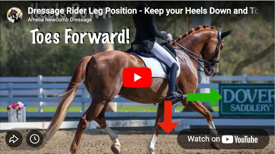 A Dressage Rider on a chestnut horse demonstrates proper leg position; white text reads Toes Forward! with red and green arrows showing heels down. A Dover Saddlery sign appears in the background.