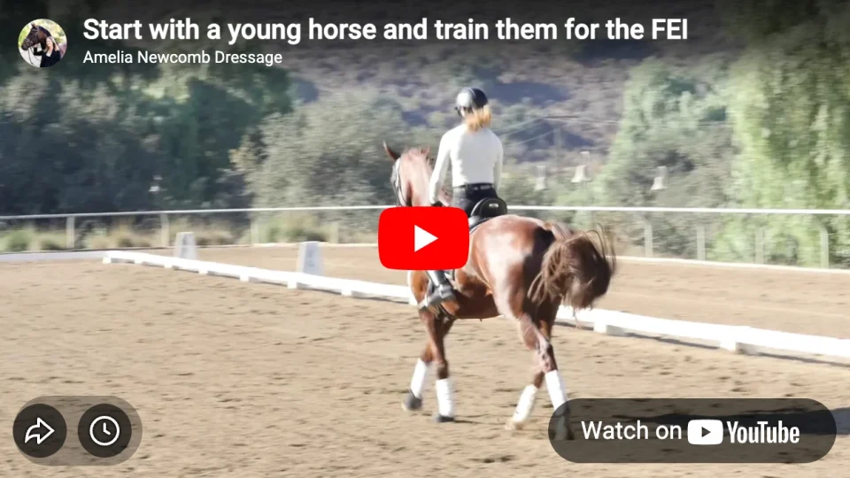 A rider wearing a helmet and light-colored shirt is riding a chestnut horse in an outdoor arena, practicing transitions as part of horse training. The dirt surface is surrounded by trees and hills, and the horse wears white leg wraps.