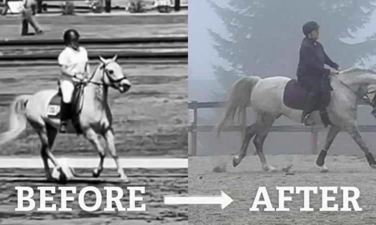 Side-by-side images of a person riding a horse: left side is in black and white labeled BEFORE, right side is in color and foggy labeled AFTER. Both riders wear helmets and ride similar-looking horses.