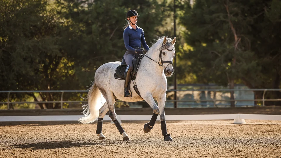 Amelia Newcomb rides a grey horse in an outdoor arena, demonstrating collected trot amid trees and filtered sunlight.