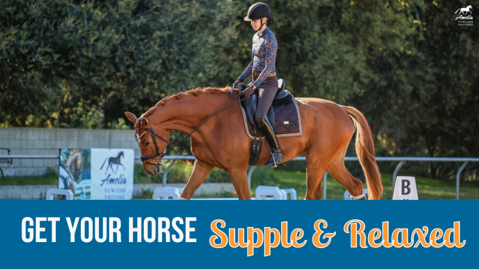 A rider in a helmet and patterned jacket rides a chestnut horse in an outdoor arena. Text on the image reads, GET YOUR HORSE Supple & Relaxed—your guide to effective horse training for a supple horse.