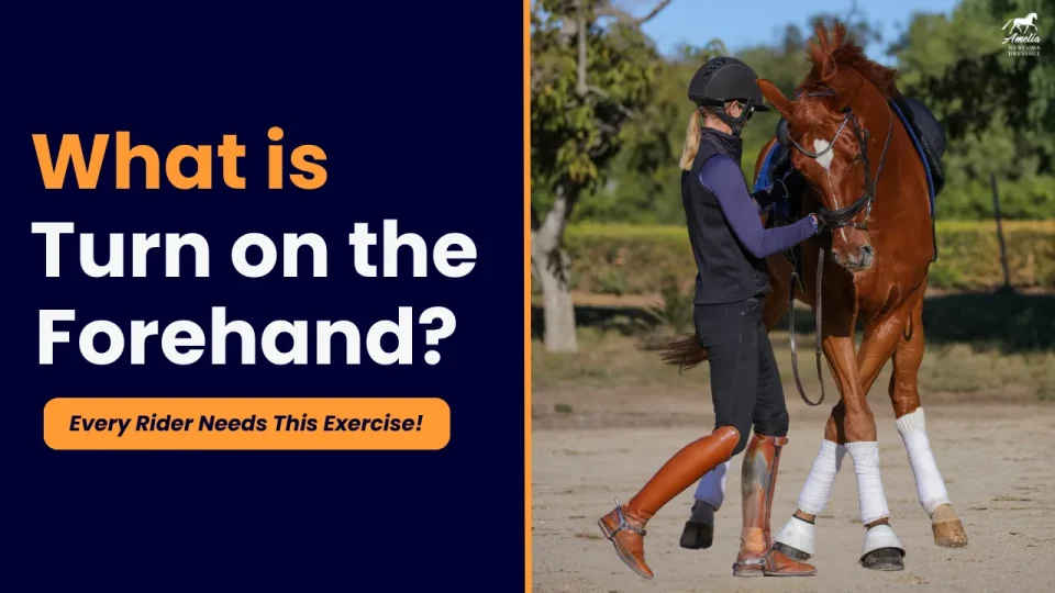 A rider in riding gear stands beside a horse, gently guiding its head while the horse steps sideways. The text reads: What is Turn on the Forehand? Every Rider Needs This Horse Training Exercise!.