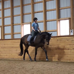 A person wearing a helmet rides a dark brown horse at a walk inside an indoor riding arena with wooden walls and large windows.
