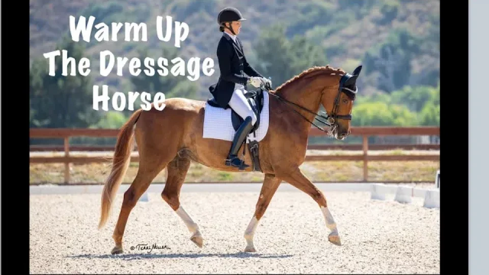 A rider in formal attire warms up a dressage horse, practicing trot canter transitions in an arena with trees and hills behind. Text on the image reads: Warm Up The Dressage Horse.