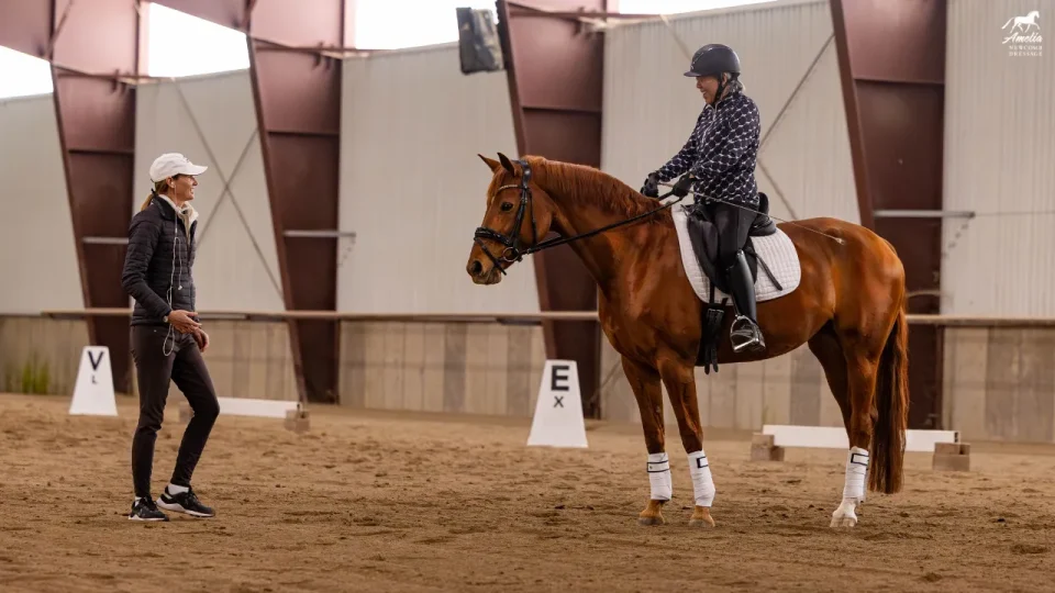 A person on a chestnut horse listens to an instructor inside an indoor riding arena. Dressage markers line the sand floor—perfect for noting your top five clinic takeaways for Summer 2025. The horse sports white leg wraps and a saddle pad.