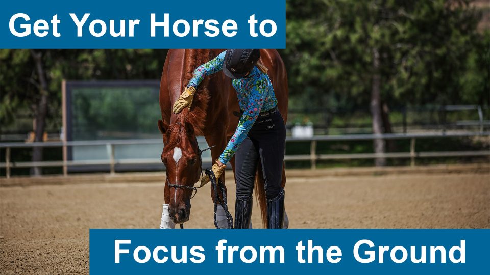 A person in a helmet and patterned shirt bends down to interact with a chestnut horse in an arena. Text reads, Get Your Horse to Focus from the Ground—discover essential ground training tips for better horse focus.