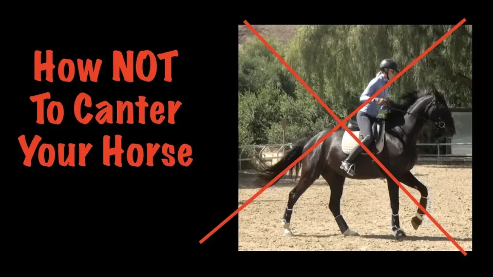 how not to canter