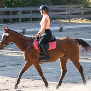 A person wearing a helmet, orange shirt, and black pants rides a brown horse with a pink saddle pad in an outdoor riding arena surrounded by a wooden fence.