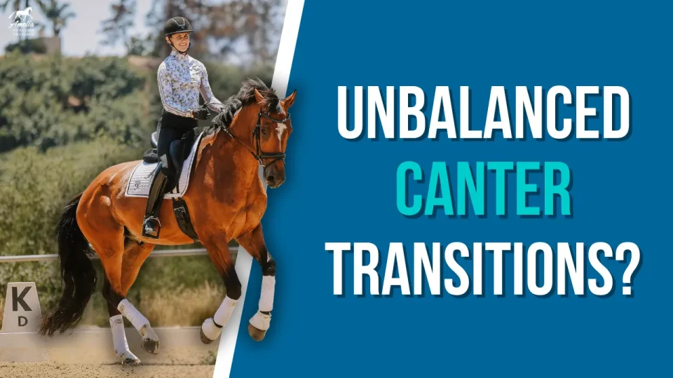 A rider on a brown horse performs dressage next to large text reading “Unbalanced Canter Transitions?” on a blue background, highlighting the challenges of smooth canter transitions. The rider wears a helmet, patterned shirt, and black gloves.