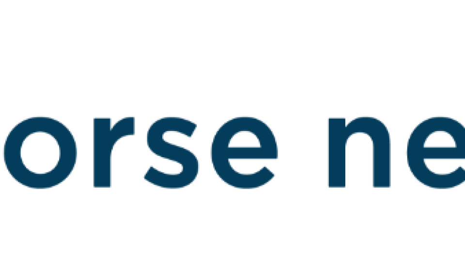 Horse Network logo with a white stylized horse head inside a blue circle to the left of the words horse network in dark blue lowercase letters on a white background, capturing the energy and elegance of horse riding and the sitting trot.