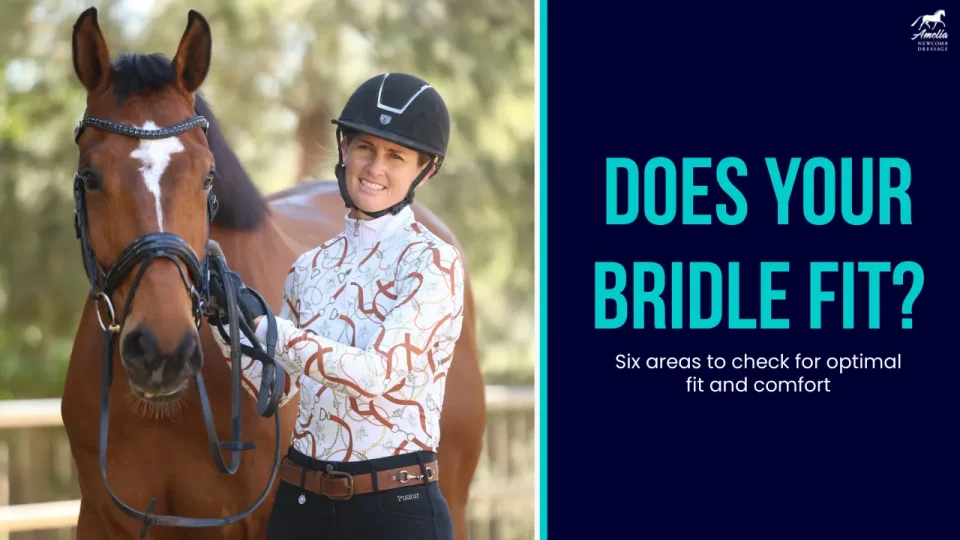A smiling person wearing a riding helmet stands next to a brown horse holding its bridle. Text reads: Does your horse bridle fit? Discover six bridle fitting tips for optimal fit and comfort.