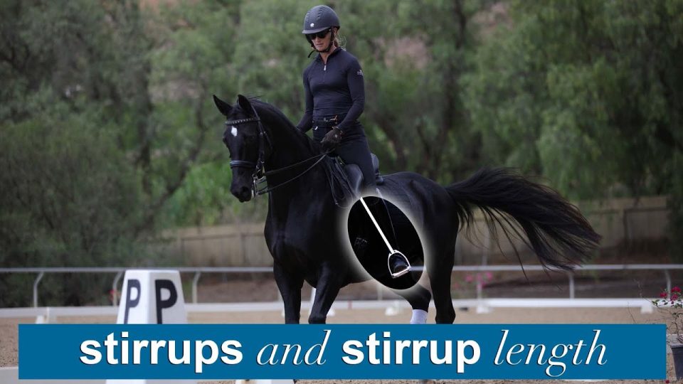 A person in riding gear is riding a black horse in an outdoor arena. The image highlights the horse’s stirrup, with the text dressage stirrup length and stirrups at the bottom.