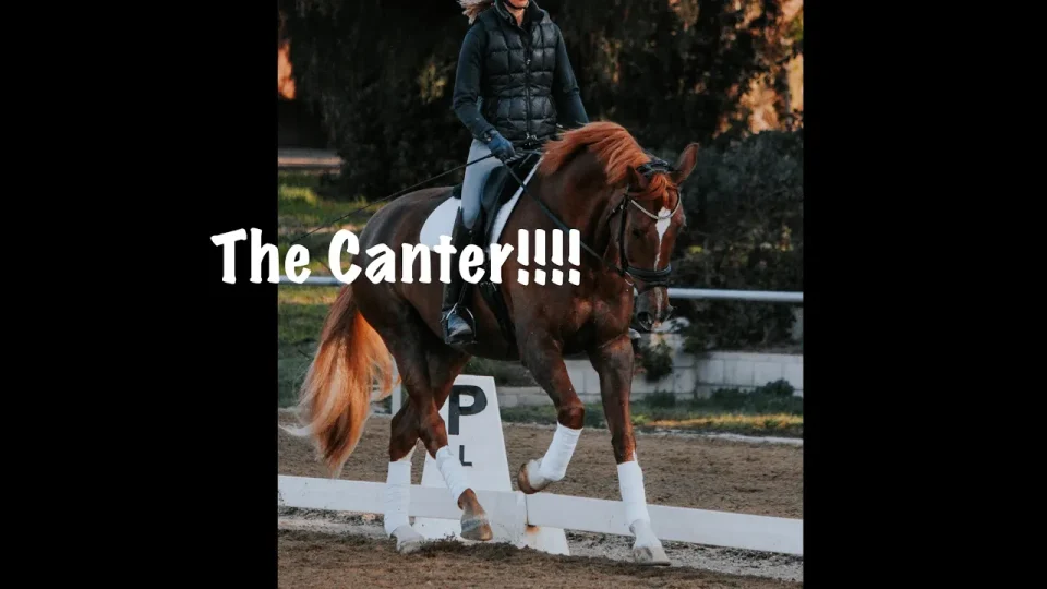 A smiling woman in a helmet rides a gray OTTB inside an arena. Text on the left reads: Cantering your OTTB for the very FIRST TIME, with FIRST TIME highlighted in green letters.