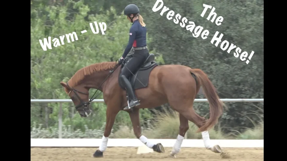 A smiling rider in black and neon green rides a gray horse in an arena. Text on the left reads How to ride the perfect CIRCLE, highlighting dressage basics. An inset shows them riding a perfect circle. Trees and sand arena are in the background.