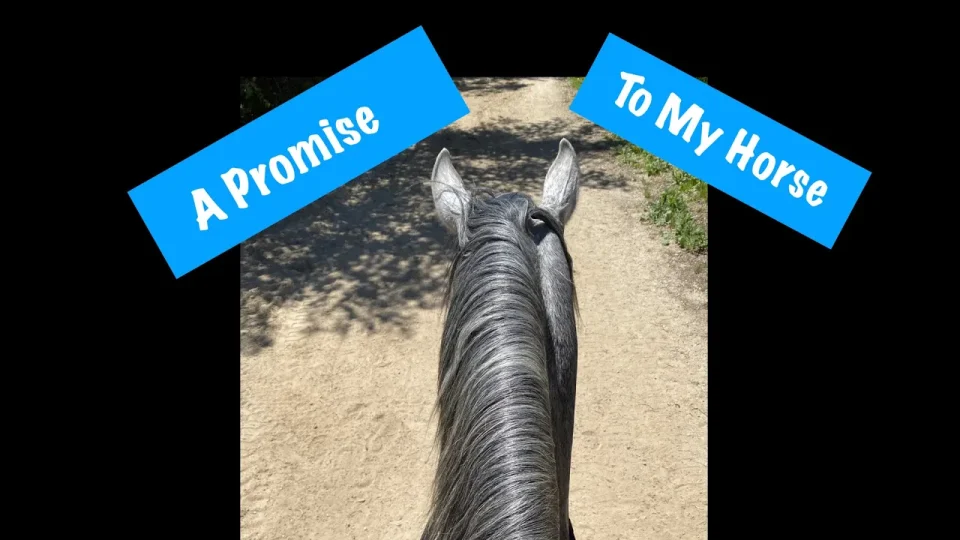 A view from above of a horse’s head and neck on a dirt path, framed by two blue banners—A Promise on the left and To My Horse on the right—symbolizing horseback riding confidence and overcoming fear.