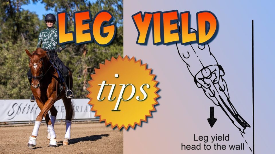 A rider on a horse performs a leg yield; large text reads LEG YIELD tips. On the right, a diagram titled Leg yield head to the wall shows this dressage horse training exercise with the horse moving sideways along a wall.