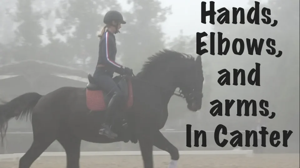 A person riding a chestnut horse in an outdoor arena, showcasing excellent rideability, with the text How to get your DREAM RIDE! overlaid in white, bold letters. The horse is trotting, both wear riding gear, and trees fill the background.