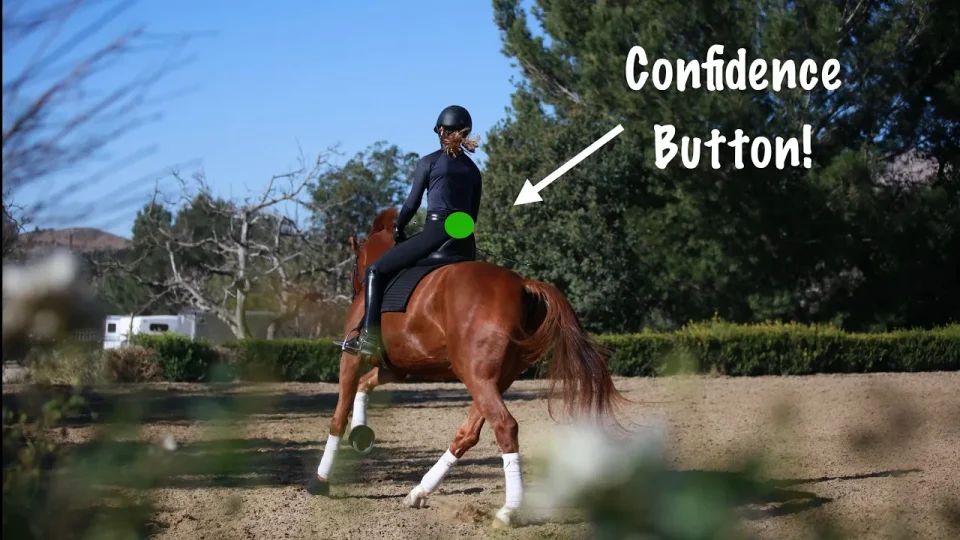 A person rides a chestnut horse in an outdoor arena, demonstrating Canter Lengthening and Medium Canter. The text on the left reads, Develop the Canter Lengthening Medium Canter. The rider wears a helmet, sunglasses, and a patterned top.