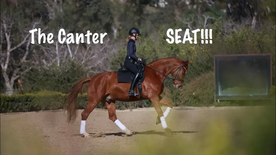 A person in equestrian attire rides a horse rearing up, with a building and arena in the background. Large white text reads “You’re afraid to fail?!”—highlighting fear of failure—with a bold red “X” beside the rider.