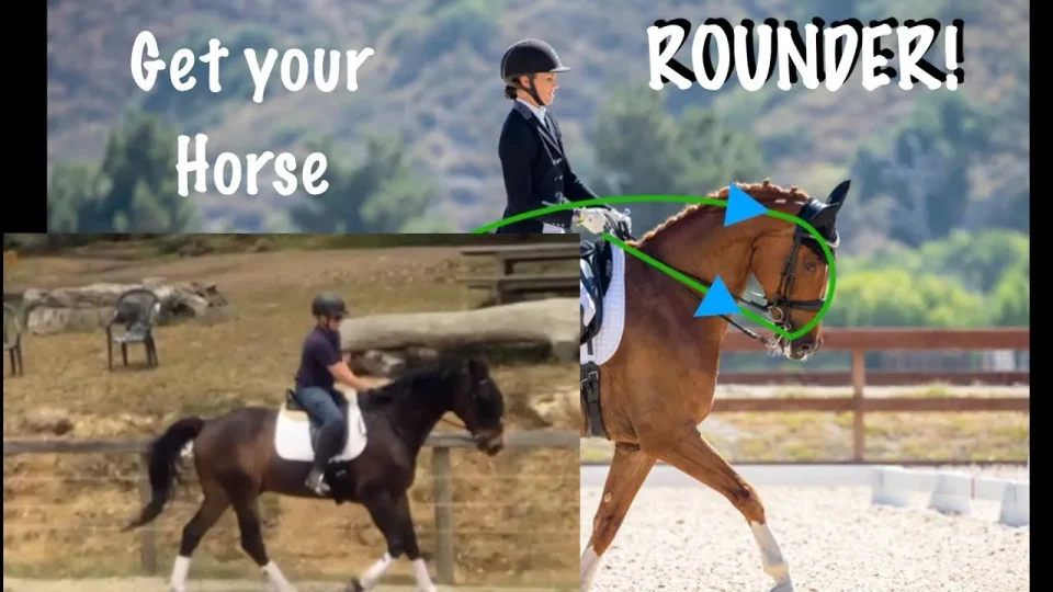 A side-by-side comparison of two riders on horses; left shows a horse with its head raised, right shows a horse rounder, with its neck arched and head down. Arrows highlight the rounder frame. Text reads Get your horse ROUNDER!.