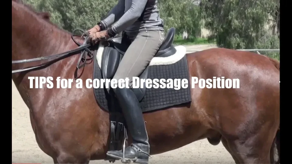 A person riding a brown horse with the text TIPS for a correct dressage position overlaid; the rider is shown from the shoulders down, demonstrating proper posture and offering valuable dressage tips.
