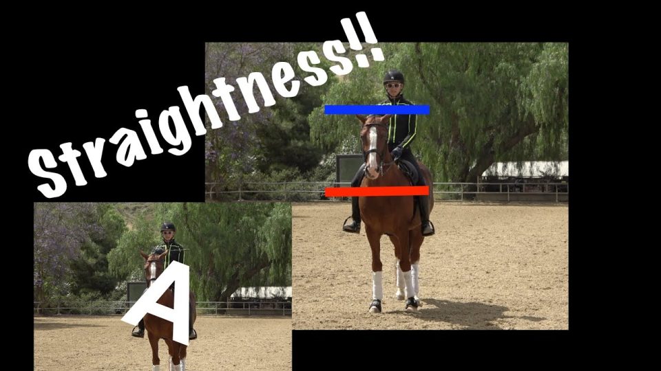 A person rides a horse in an arena on the left, while on the right there's an overhead view showing a Shallow-Loop serpentine riding pattern. Bold text reads: How to ride Serpentines with a shallow loop.