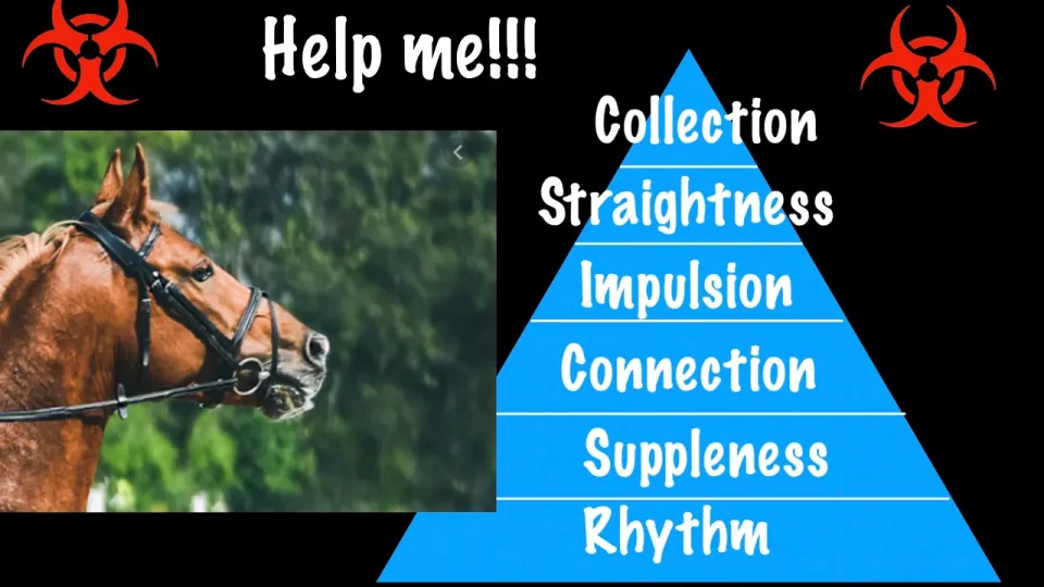 A distressed Dressage Horse with an open mouth and bridle stands beside a blue pyramid labeled Rhythm to Collection. The text above reads Help me!!! with biohazard symbols, illustrating a classic Horse Problem in the world of Dressage.