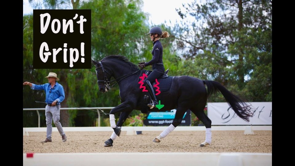 A person wearing a helmet enjoys horse riding as they pick up the correct canter lead on a dark horse in an outdoor arena. White text on the left reads, Right Lead Canter? The horse lifts its front right leg; trees and fencing fill the background.
