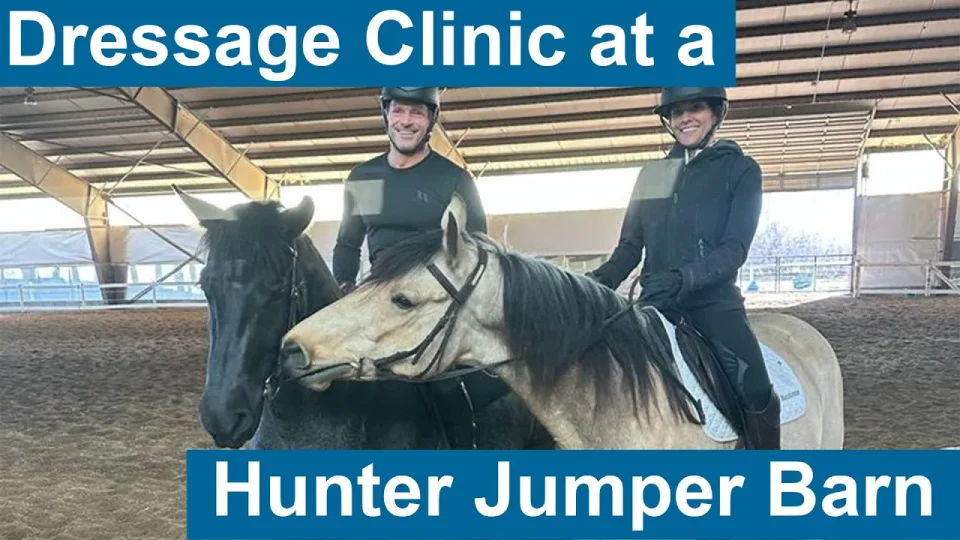 A person in a helmet rides a brown horse with white leg wraps and a blue saddle pad in an outdoor arena. Text on the right reads, Walk Exercises and Walk Workouts you CAN do!.