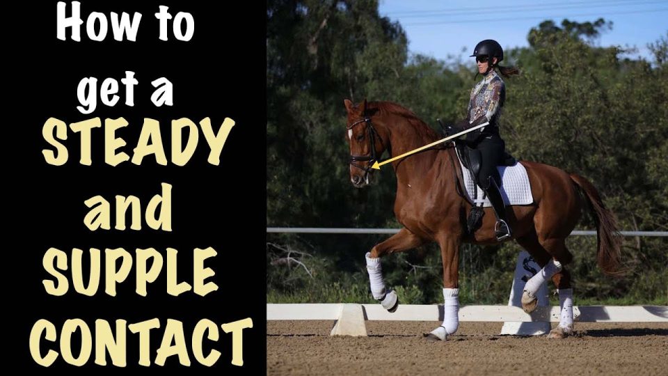 A rider in a helmet and patterned shirt is riding a chestnut horse in an outdoor arena. Red wavy lines highlight the rider’s movement, much like tips to reduce bounce rate for better website engagement. Text reads, How NOT to bounce in the saddle.
