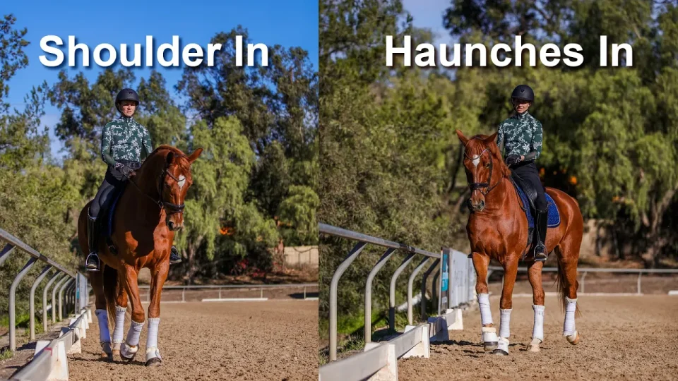 Side-by-side photos illustrate riding techniques: left, Shoulder-In with the horse bent inward; right, Haunches-In showing the hindquarters angled in. Both images are set in an outdoor arena.