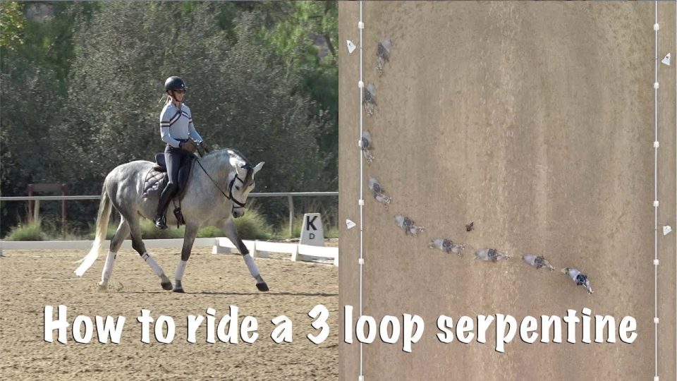 A rider on a gray horse performs basic dressage in an arena; next to it, an aerial view shows the horse’s path forming three loops. Text reads: How to ride a 3 loop serpentine, one of the classic dressage moves.