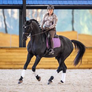 A person wearing a helmet rides a black horse with a purple saddle pad indoors. The horse is mid-stride with white leg wraps. The arena has light sand footing, wood walls, and large windows showing a blurred outdoor scene.