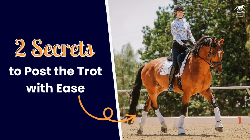 A smiling equestrian rides a brown horse in an outdoor arena. Next to them, bold text reads: 2 Secrets to Fix Posting Trot and Stop Bouncing, with an arrow pointing towards the rider.