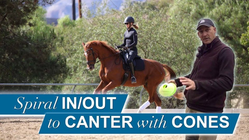 A person rides a chestnut horse in an outdoor arena, while another person in a cap holds a cone. Text overlay reads: Spiral IN/OUT to CANTER with CONES. Trees and fencing are in the background.