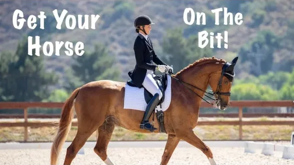 A rider in formal equestrian attire is riding a chestnut horse in an outdoor arena. The text says Get Your Horse On The Bit!—perfect inspiration for anyone passionate about horse training and mastering the art of getting your horse on the bit.