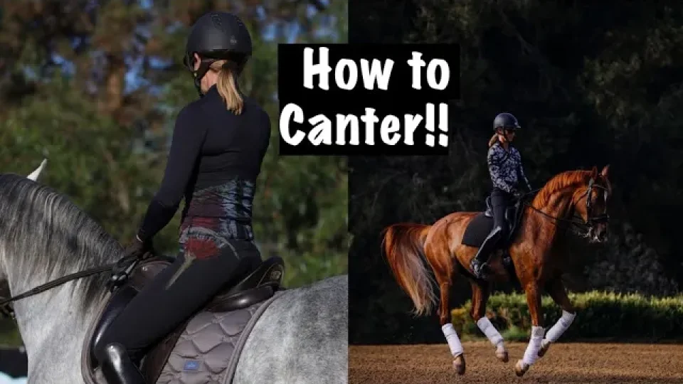 Split image: Left shows a person in riding gear on a gray horse from behind; right shows a rider cantering on a chestnut horse. Text in the center reads How to Canter!! Learn about key horse riding muscles for mastering the canter.