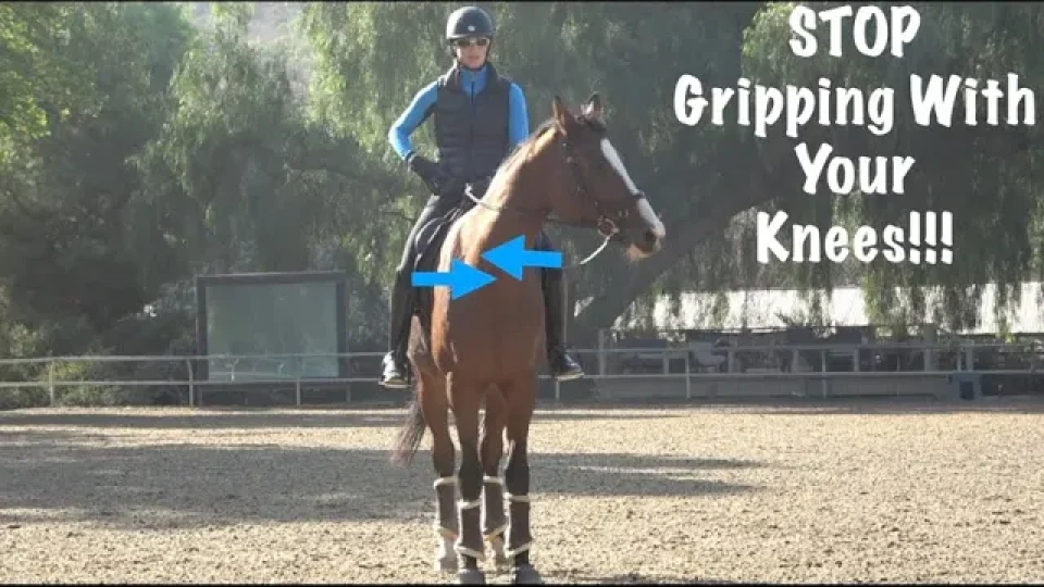 A person in riding gear stands beside a white horse in an outdoor arena, with trees in the background. The word Confidence is written in large white letters, highlighting key horse confidence tips for riders and ways to build confidence with your horse.
