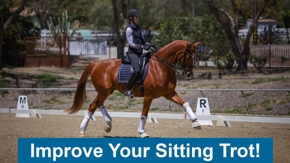 A rider wearing a helmet and vest is riding a chestnut horse in a dressage arena, performing a sitting trot. Text at the bottom reads, Improve Your Sitting Trot! Learn how to avoid common mistakes in horse riding.