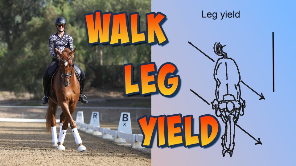 A rider in a helmet and patterned shirt performs walk leg-yields on a chestnut horse in an arena, demonstrating suppleness. Next to them is a diagram of the leg yield movement, with bold text reading WALK LEG YIELD.