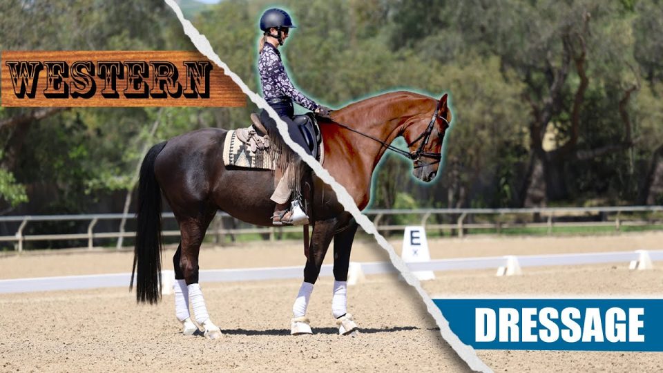 A split-image of a person riding a horse compares Western and Dressage styles: on the left, Western with a classic saddle; on the right, Dressage in an arena with an English saddle.